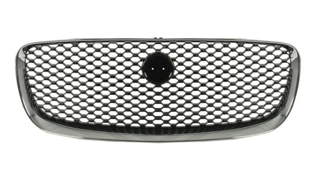 Jaguar F-Pace (15-) Grille, T4A6208