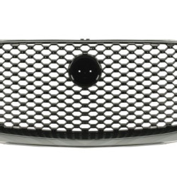 Jaguar F-Pace (15-) Grill, T4A6208