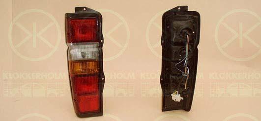 Tail Light Assembly, with bulb holder, Left, 81561 95J07 (TOYOTA)