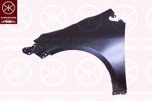 Wing, Right Front, 5380102210 (TOYOTA), 53811 02450 (TOYOTA)