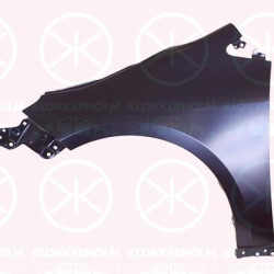 Wing, Right Front, 5380102210 (TOYOTA), 53811 02450 (TOYOTA)