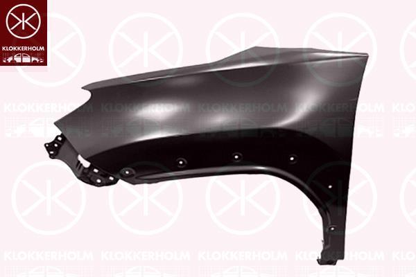 Wing, Right Front, with holes for trim/protective strip, without hole for direction indicator, 53811 K2010 (TOYOTA)