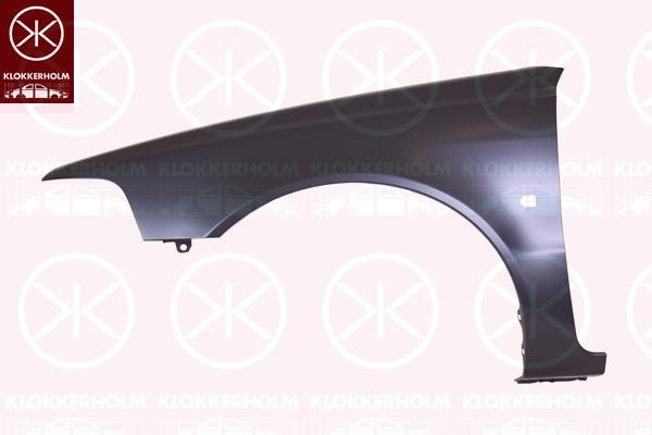 Wing, Left Front, with hole for direction indicator, 30883925 (VOLVO)