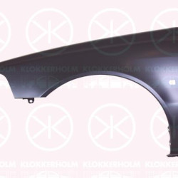 Wing, Left Front, with hole for direction indicator, 30883925 (VOLVO)