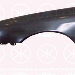 Wing, Right Front, with hole for direction indicator, 30802307 (VOLVO)