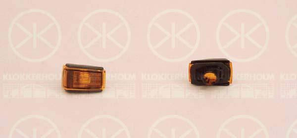 Direction Indicator, without bulb holder, yellow, lateral installation, 9133609 (VOLVO)