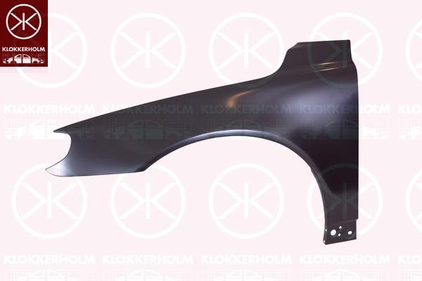 Wing, Left Front, 30716317 (VOLVO), 30779737 (VOLVO), 30799760 (VOLVO), 31253742 (VOLVO), 31253742-6 (VOLVO), 31253750 (VOLVO), 31294000 (VOLVO)