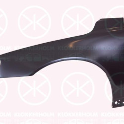 Wing, Left Front, 30716317 (VOLVO), 30779737 (VOLVO), 30799760 (VOLVO), 31253742 (VOLVO), 31253742-6 (VOLVO), 31253750 (VOLVO), 31294000 (VOLVO)