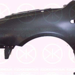 Wing, Left Front, with hole for direction indicator, 6X0 821 021E (VW)