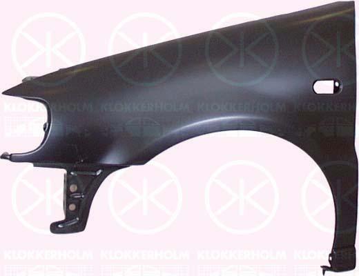 Wing, Right Front, with hole for direction indicator, 6N0 821 022 (VW)