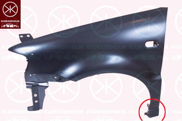 Wing, Standard, Right Front, with hole for direction indicator, 6N0 821 022G (VW)