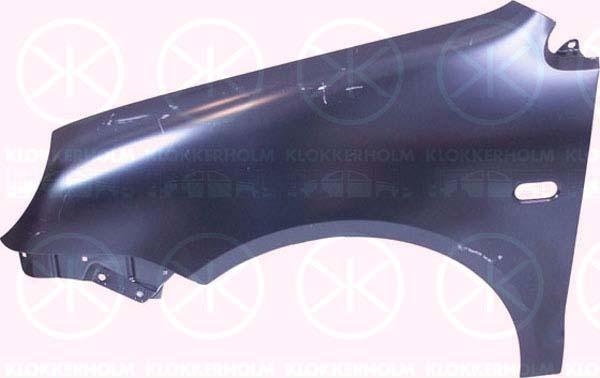 Wing, Left Front, with hole for direction indicator, 6Q0 821 105C (VW), 6Q0 821 105D (VW)