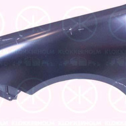 Wing, Left Front, with hole for direction indicator, 6Q0 821 105C (VW), 6Q0 821 105D (VW)