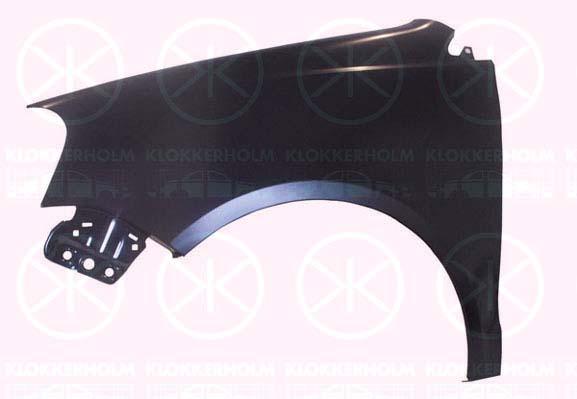 Wing, Left Front, without hole for direction indicator, 6Q0 821 105E (VW)