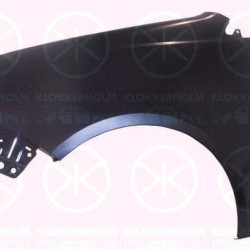 Wing, Left Front, without hole for direction indicator, 6Q0 821 105E (VW)