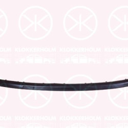 Trim/Protection Strip, bumper, w/primer, Front, 6Q0 807 720A GRU (VW), 6Q0807720A (VW)