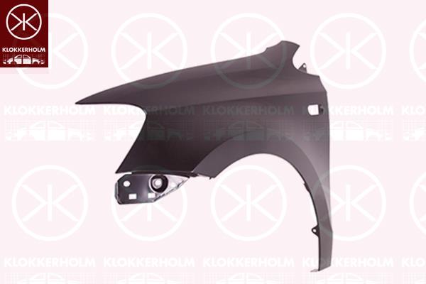 Wing, Left Front, with hole for direction indicator, 6RU821105 (VW), 6RU821105B (VW), 6RU821105C (VW), 6RU821105J (VW)