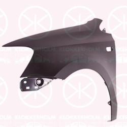 Wing, Left Front, with hole for direction indicator, 6RU821105 (VW), 6RU821105B (VW), 6RU821105C (VW), 6RU821105J (VW)