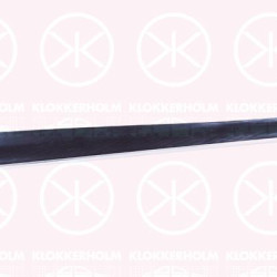 Foot/Running Board, Right, with trim strip, Width [mm]: 33, Full Body Section, 111 898 510 (VW)