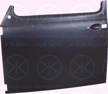 Door, body, Left Front, Outer section, 113 831 0513Z (VW)