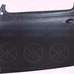 Door, body, Left Front, Outer section, 113 831 0513Z (VW)