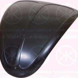 Bonnet, 111 823 031A (VW)