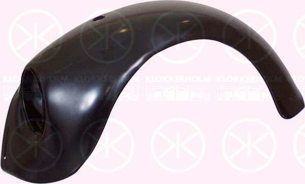 Wing, Left Front, 113 821 021M (VW)