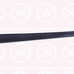 Foot/Running Board, Left, with trim strip, Width [mm]: 10, Full Body Section, 111 898 509B (VW)