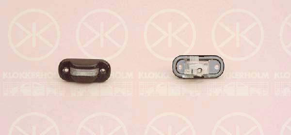 Licence Plate Light, black, 171 943 021B (VW)