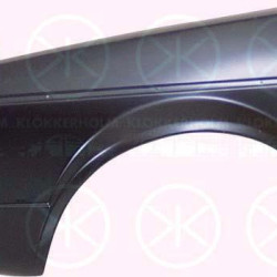 Wing, Left Front, 155 821 021A (VW)