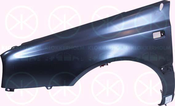 Wing, Left Front, with hole for aerial, with hole for direction indicator, 1H0 821 105 (VW)