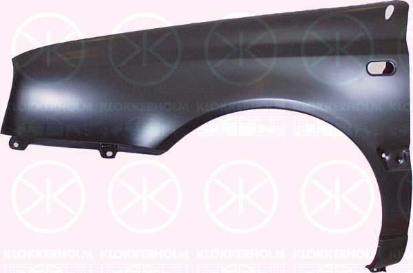 Wing, Left Front, with hole for aerial, with hole for direction indicator, 1H0 821 105B (VW)