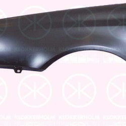 Wing, Left Front, with hole for aerial, with hole for direction indicator, 1H0 821 105B (VW)