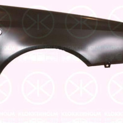 Wing, Right Front, with hole for direction indicator, 1H0 821 106B (VW)