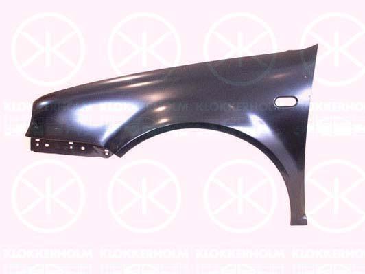 Wing, Right Front, with hole for direction indicator, 1J0 821 022 (VW), 1J0 821 022A (VW), 1JE 821 022A (VW)