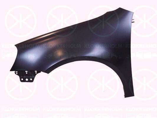 Wing, Left Front, 1K6 821 021A (VW)