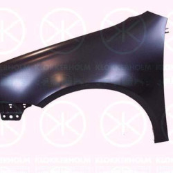 Wing, Left Front, 1K6 821 021A (VW)