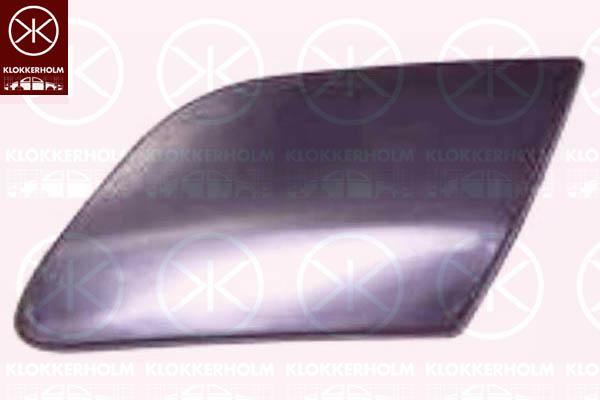 Trim/Protection Strip, bumper, GTI, Left Front, 1K0 807 655 (VW), 1K5 955 109A (VW)