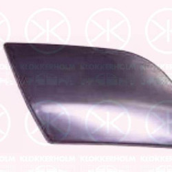 Trim/Protection Strip, bumper, GTI, Right Front, 1K0 807 656 (VW), 1K5 955 110A (VW)