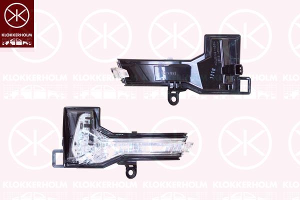 Direction Indicator, Left, Exterior Mirror, LED, 2G0 949 101 (VW), 2G0949101 (VW)