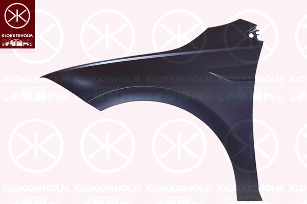 Wing, Left Front, 2G0 821 105 (VW)