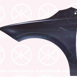 Wing, Left Front, 2G0 821 105 (VW)