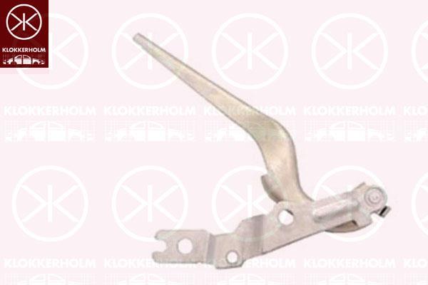 Hinge, bonnet, Right Front, 2G0 823 302D (VW), 2G0823302G (VW)