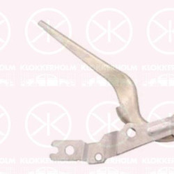 Hinge, bonnet, Right Front, 2G0 823 302D (VW), 2G0823302G (VW)