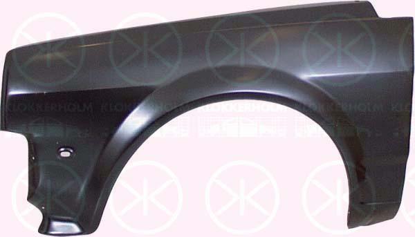 Wing, Left Front, 871 821 021 (VW)