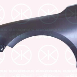 Wing, Left Front, without hole for direction indicator, Zinc-coated, 5C6 821 105 (VW)