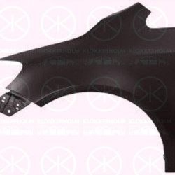 Wing, Left Front, 5M0 821 021 (VW)