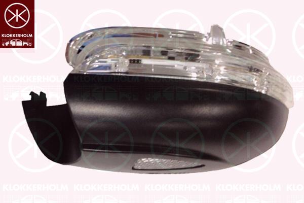 Direction Indicator, Right, Exterior Mirror, with reading light, 5K0 949 102A (VW), 5K0949102A (SKODA)