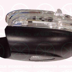 Direction Indicator, Right, Exterior Mirror, with reading light, 5K0 949 102A (VW), 5K0949102A (SKODA)