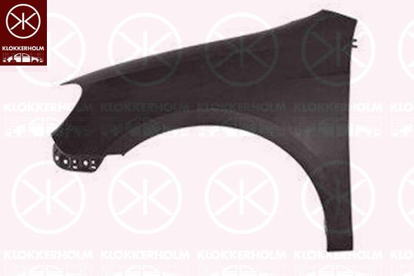 Wing, Left Front, 5K6 821 021 (VW), 5K6 821 021 A (VW), 5K6 821 021 B (VW)